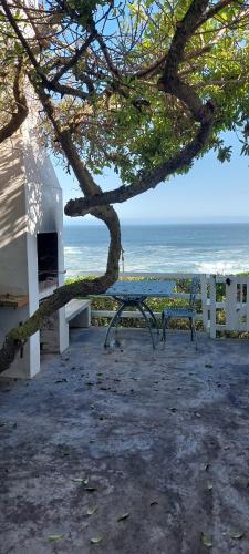un banco sentado bajo un árbol junto al océano en Sea View, en Yzerfontein