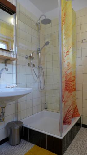 a bathroom with a shower and a sink at Gemütliches Zimmer mit Doppelbett und Tischtennisraum in Tuchenbach
