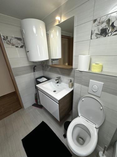a bathroom with a white toilet and a sink at Apartment Radić 1 