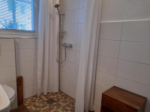 a bathroom with a shower with a toilet and a window at Kleine Auszeit in Bad Fallingbostel