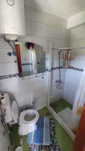 a small bathroom with a toilet and a shower at Curovac Nature in Ilidža