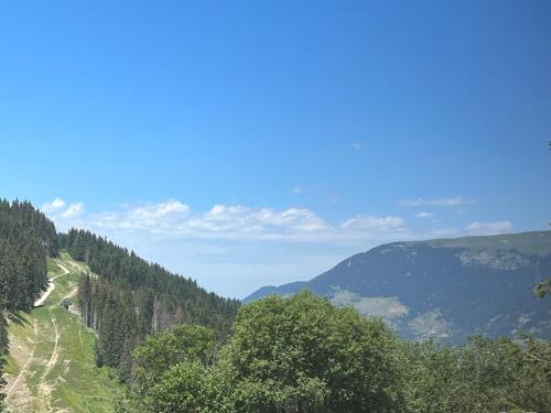 - une vue sur une montagne arborée et une route dans l'établissement Résidence de l'Ariondaz - Courchevel, à Courchevel
