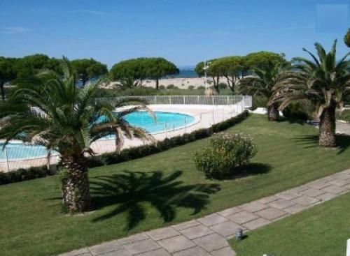 un complexe avec piscine et palmiers dans l'établissement Studio 1 ère ligne Port Camargue avec piscine, au Grau-du-Roi