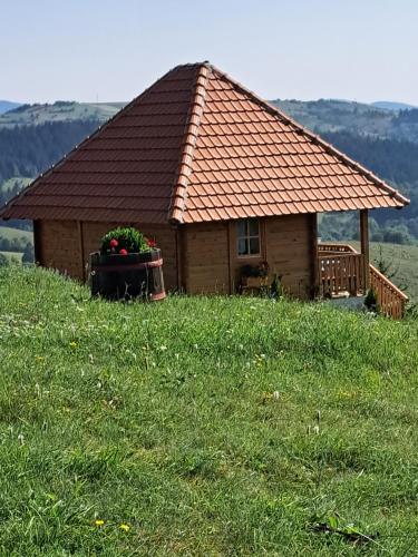 a small house on a hill with a green field at Etno domacinstvo Uvacki konaci in Nova Varoš