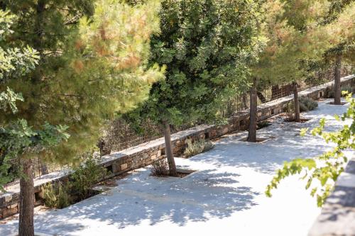 Φυσικό τοπίο κοντά σε αυτό το διαμέρισμα