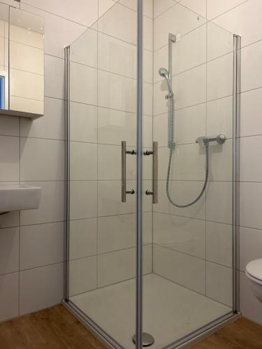 a shower with a glass door in a bathroom at Boardinghouse Rheinfelden 2 in Rheinfelden