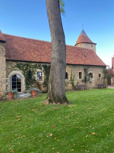 a tree in front of a stone building at Château de Bouesse en Berry in Bouesse