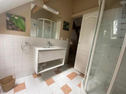 a bathroom with a sink and a shower at Château de Bouesse en Berry in Bouesse