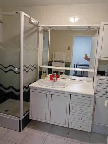 a bathroom with a sink and a shower at La petite maison à la campagne / our little house in La Chapelle-Launay