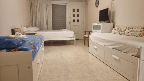 een kamer met 2 bedden en een televisie. bij Ionian Dream Home in Vráchos