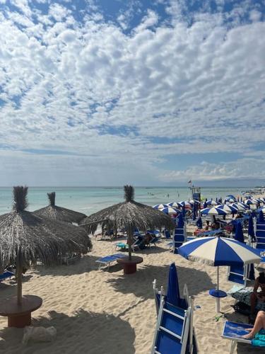 a beach with many umbrellas and chairs and the ocean at Palazzo dei Gigli Puglia - house with heatable rooftop-Pool in Ugento