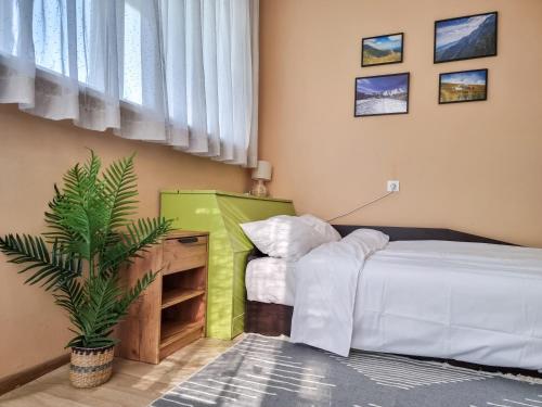 Un dormitorio con una cama y una planta. en Студио апартамент Троян, en Troyan