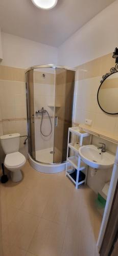 a bathroom with a shower and a toilet and a sink at Emada- Pokoje Gościnne i Studia in Ostrowo