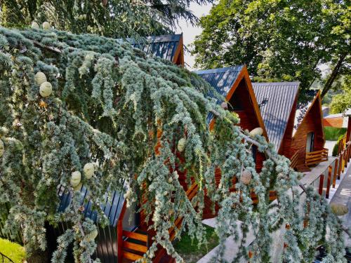 a christmas tree in front of a cabin at Planinske Kuće Grocka in Grocka