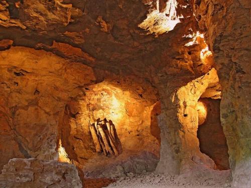 a cave with some fossil skeletons in it at Villa in France with Private Pool in Vasles