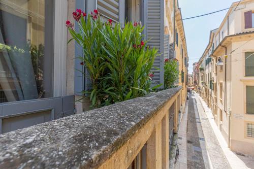 a stone ledge with plants on a street at Corte Realdi - Palazzo Camozzini in Verona