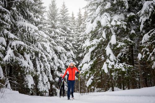 a woman is cross country skiing in the snow at Tervalepikon Torpat in Sysmä
