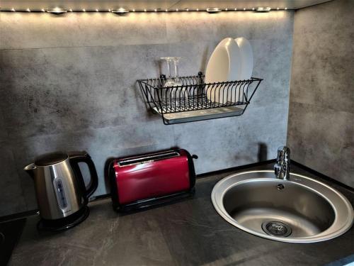 um balcão de cozinha com um lavatório e uma torradeira em Duplex Cosy Place République em Lille