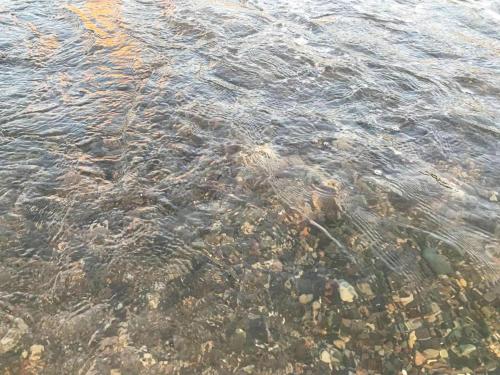 a body of clear water with rocks in it at Nargizi guest house in Gonio