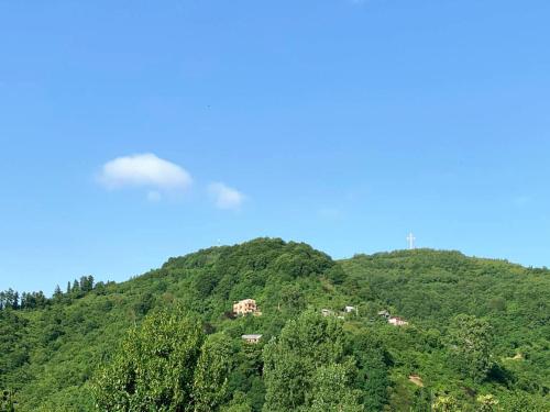 a green hill with a house on top of it at Nargizi guest house in Gonio