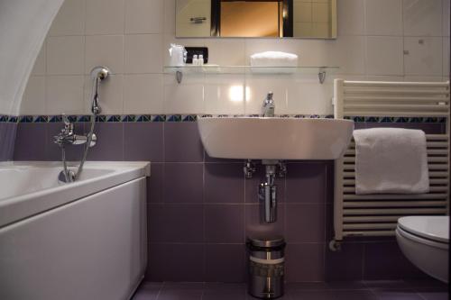 a bathroom with a sink and a toilet at Hotel Valentino Du Parc in Turin