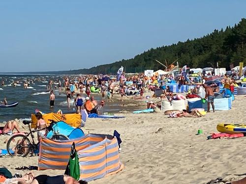 una grande folla di persone su una spiaggia di Brook-Stone Beach Guesthouse a Sztutowo