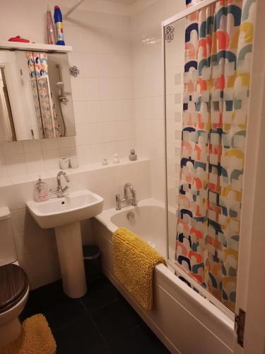 a bathroom with a sink and a toilet and a shower at Redmire - 2 bed 1st floor flat overlooking green in Darlington