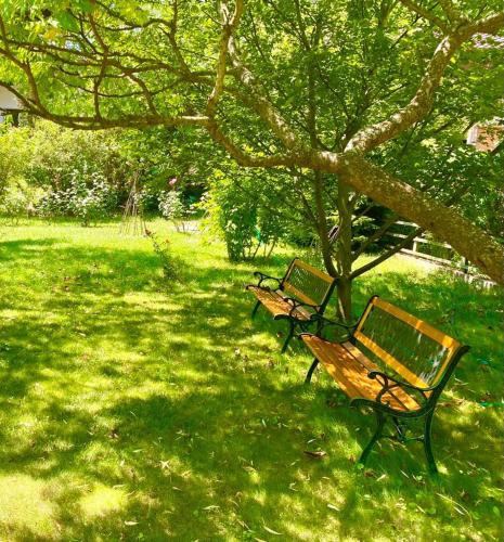 three park benches sitting in the grass under a tree at CASA DRENCOVA SRL in Berzasca