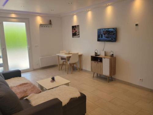 Et tv og/eller underholdning på Superbe appartement