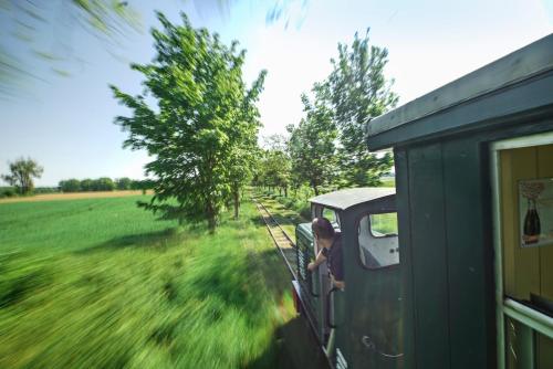 a person riding a train through a field at Apartment am Stettiner Haff in Mönkebude