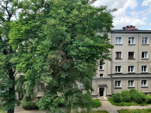 duże drzewo przed budynkiem w obiekcie Mieszkanko w mieście Katowice