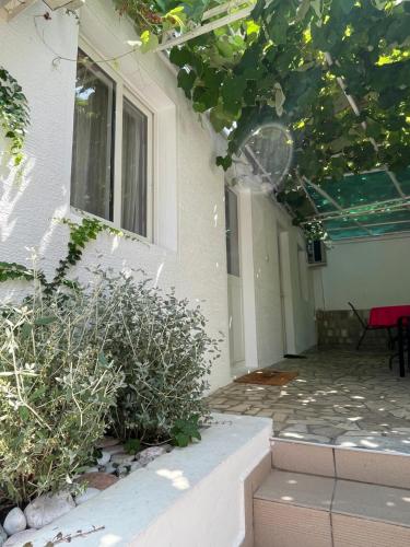 a porch of a house with plants and a window at Guest house Villa Slavica in Sveti Stefan
