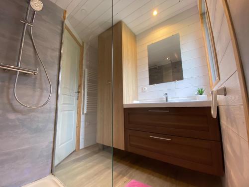 a bathroom with a shower and a sink and a mirror at Camping la Venise Verte in Coulon