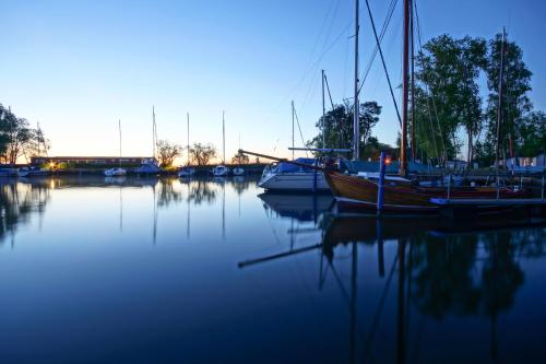 a group of boats are docked in a harbor at Apartment am Stettiner Haff in Mönkebude