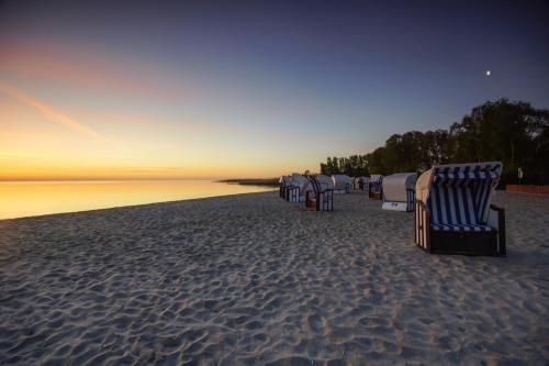 a row of beach chairs on the beach at sunset at Apartment am Stettiner Haff in Mönkebude
