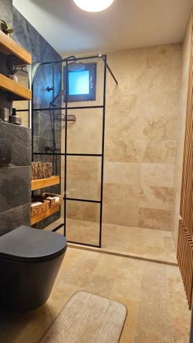 a bathroom with a shower with a toilet and a sink at Cosy 2 rooms apartment in the center of the city in Bucharest