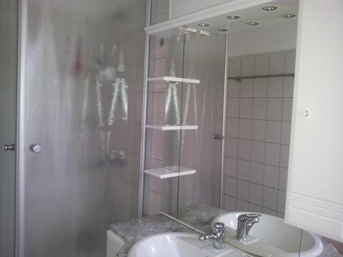 a bathroom with a sink and a shower at 1-Zi Fewo Rankwitz,Usedom in Rankwitz
