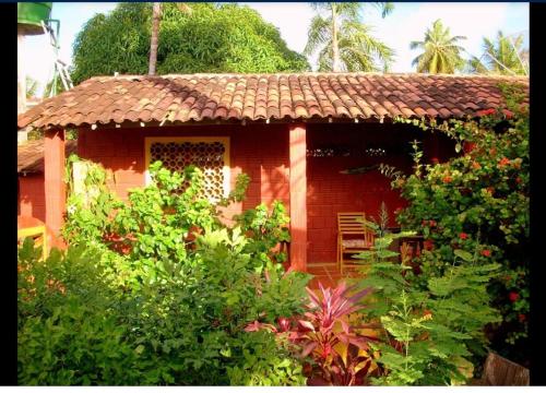 Zahrada ubytování Casa da Lua
