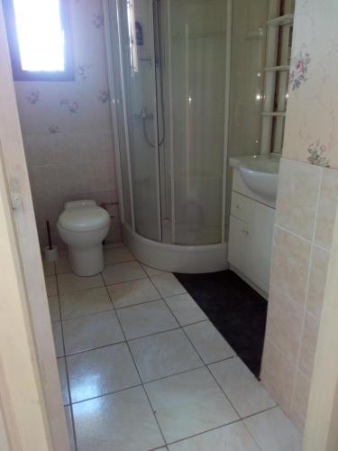 a bathroom with a shower and a toilet and a sink at logement avec entrée indépendante in Latresne