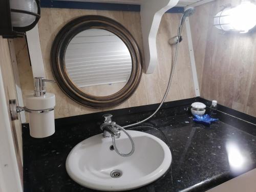 a bathroom with a sink and a mirror at Corabia Santa Marina in Sulina