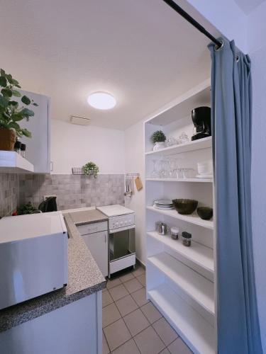uma cozinha com armários brancos e um frigorífico branco em Cozy Apartment in historical Alt-Lobeda near Uni-Klinik Jena em Jena