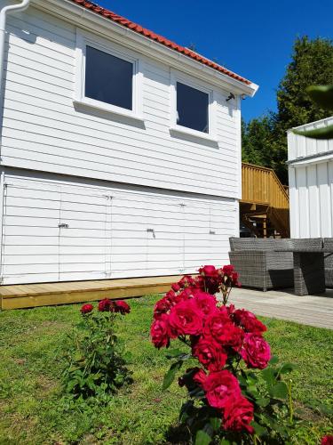 a house with a bunch of red roses in the yard at Guesthouse with terrace in Arendal