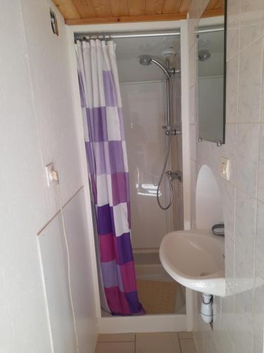 une salle de bain avec un rideau de douche et un lavabo dans l'établissement Le Vintage, aux Herbiers