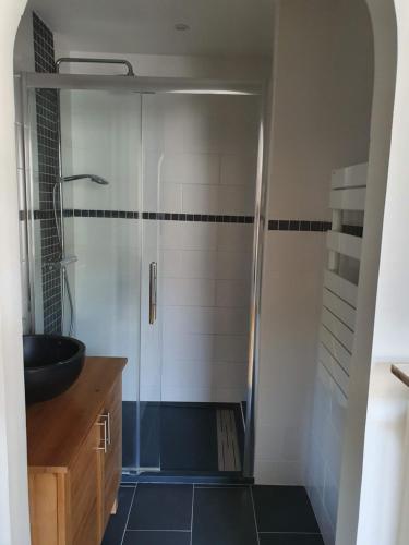 a bathroom with a shower and a sink at 2 chambres dans une maison proche de Paris et du Stade de France in Enghien-les-Bains