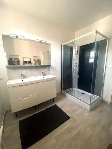 a bathroom with a shower and a sink and a mirror at Fleur de lys, Nazelle-Négron in Nazelles