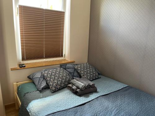 a bedroom with a bed with pillows and a window at Lęborska Garsoniera in Lębork