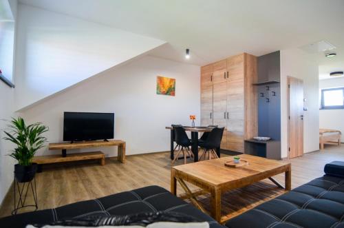 TV a/nebo společenská místnost v ubytování Apartmány Hrušky - wellness
