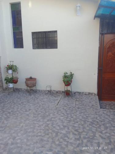 a white wall with potted plants and a door at Casa Sara en San Blas in Cusco