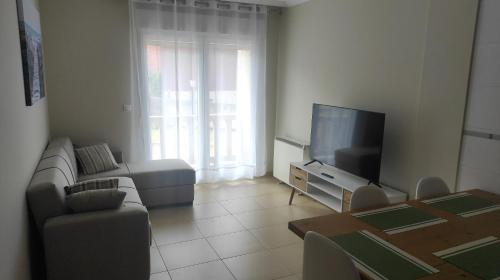 a living room with a couch and a television at Amaral Miramar in Boiro
