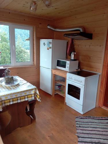 a kitchen with a stove and a refrigerator and a table at Садиба Кичера in Petrashani